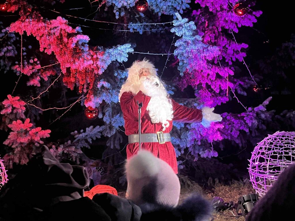 Rokuose nušvito gražuolė eglutė